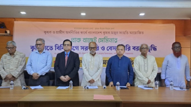 ‘কৃষিখাতের বিনিয়োগে সরকারি ও বেসরকারি বরাদ্দ বাড়াতে হবে`
