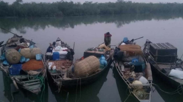 সাতক্ষীরা রেঞ্জে কাঁকড়া আহরণে দুই মাসের নিষেধাজ্ঞা