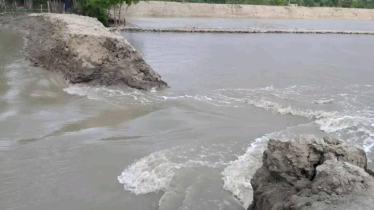 কপোতাক্ষ নদের বাঁধ ভেঙে প্রায় ৪০০ বিঘা মৎস্য ঘের প্লাবিত