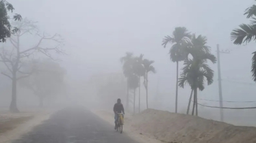 পঞ্চগড়ের তেঁতুলিয়ায় জেঁকে বসেছে শীত, সর্বনিম্ন তাপমাত্রা ১১ ডিগ্রি