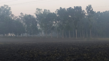 উত্তরের হিমেল বাতাসে শীতের তীব্রতা বাড়ছে, তেঁতুলিয়ায় সর্বনিম্ন তাপমাত্রা ৯ ডিগ্রি