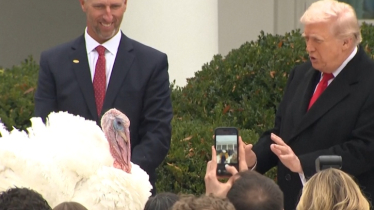 ‘থ্যাঙ্কসগিভিং ডে’ কী? কেন উদযাপন করা হয়? (ভিডিও)