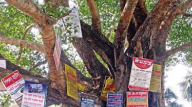 এবার গাছে পেরেক লাগালে জরিমানা ২০ হাজার, কাটলে ১ লাখ টাকা