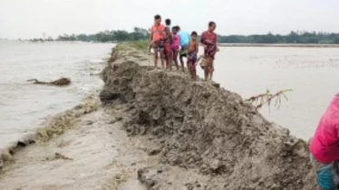নোয়াখালীর হাতিয়ায় বেড়িবাঁধ ভেঙে বিপাকে নিম্নাঞ্চলের মানুষ