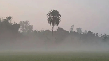 তীব্র ঠাণ্ডার মুখোমুখি হতে যাচ্ছে দেশ, ৪ ডিগ্রিতে নামতে পারে তাপমাত্রা
