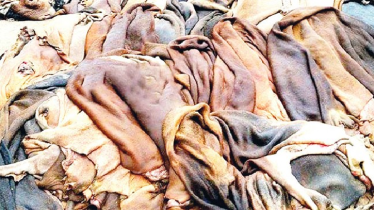 ঈদের পরের ১০ দিন অন্য জেলা থেকে ঢাকায় চামড়া পরিবহন নিষিদ্ধ