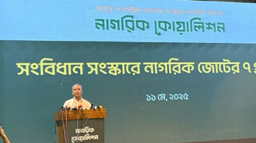 নতুন সংবিধান প্রণয়ন নিয়ে যা বললেন আসিফ নজরুল