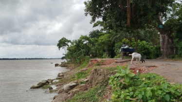 বিষখালী নদীর ভাঙনে অস্তিত্ব সংকটে বরগুনার দুই স্কুল