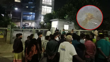 পল্লবী থানার সামনে তিনটি ককটেল বিস্ফোরণ, আহত ৩ পল্লবী থানার সামনে তিনটি ককটেল বিস্ফোরণ, আহত ৩