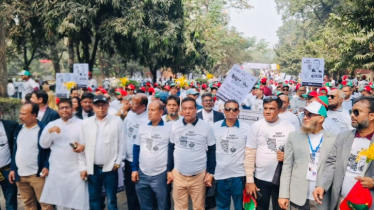 ধানের শীষের সমর্থনে পেশাজীবীদের মিছিল