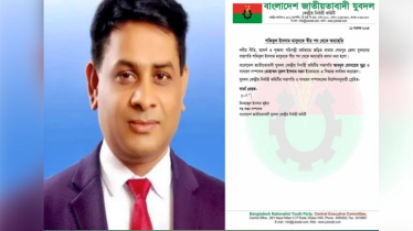 দলীয় সব পদ থেকে বিএনপি নেতা শফিকুল ইসলাম মাসুদকে বহিষ্কার