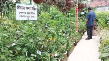 ২৫ জুন শুরু হচ্ছে পরিবেশ ও বৃক্ষমেলা