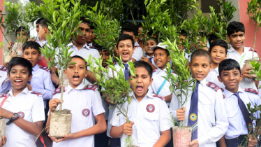 কমলা গাছের চারা পেলো কোমলমতি শিক্ষার্থীরা