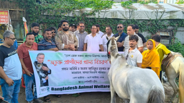 কক্সবাজারে অসুস্থ ঘোড়াদের চিকিৎসা দিলো অ্যানিমেল ওয়েলফেয়ার অ্যাসোসিয়েশন