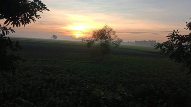 তাপমাত্রা বৃদ্ধির তথ্য দিলো আবহাওয়া অফিস