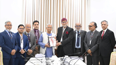 বিডিআর হত্যাকাণ্ডে দলগতভাবে জড়িত আ. লীগ, মূল সমন্বয়কারী তাপস: কমিশন