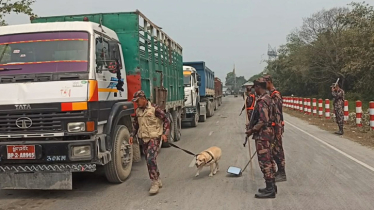 তেল পাচার রোধে পঞ্চগড়ের বিভিন্ন সীমান্তে বিজিবির টহল জোরদার