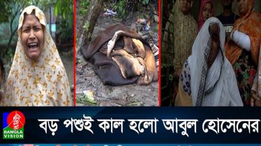 পশু কুরবানি দিতে গিয়ে কৃষক নিজেই কুরবানি হয়ে গেলেন!
