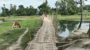 কুড়িগ্রামে সেতু না থাকায় অর্ধলক্ষাধিক মানুষ সীমাহীন দুর্ভোগে!