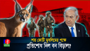 প্রতিশোধ নিল বন বিড়াল, ইসরাইলি সেনাদের ঘুম হারাম!