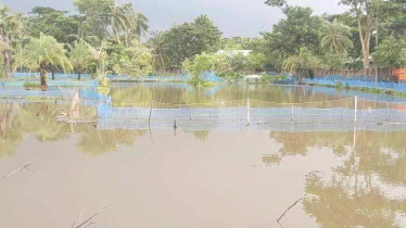 টানা বৃষ্টিতে ভেসে গেছে ৭ হাজার মৎস্য ঘের, কোটি টাকার ক্ষতি