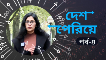 ইউরোপে পৌঁছানো পরবর্তী জটিলতা ও করণীয়