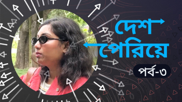 অভিবাসনে নানা চ্যালেঞ্জ: ওয়ানস্টপ সার্ভিস চালু করা কতটা কঠিন?
