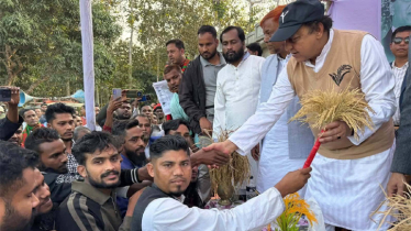 ওয়াদুদ ভূঁইয়ার পথসভায় ৫শতাধিক নেতাকর্মীর বিএনপিতে যোগদান