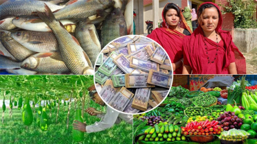 অর্থনৈতিক উন্নয়ন পরিকল্পনার ধারণাপত্র: বাংলাদেশে আসবে টাকার বন্যা