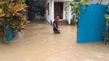 ভারতের উজান ঢল ও টানা বৃষ্টিতে ফেনীর কয়েকশ গ্রাম প্লাবিত