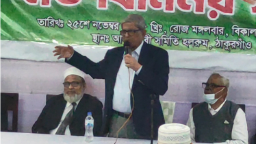 দুই টার্মের বেশি কেউ প্রধানমন্ত্রী থাকতে পারবে না: মির্জা ফখরুল 