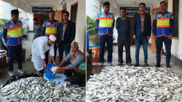 ১৬৫০ কেজি জাটকা ইলিশ জব্দ করে দেওয়া হলো মাদ্রাসায়