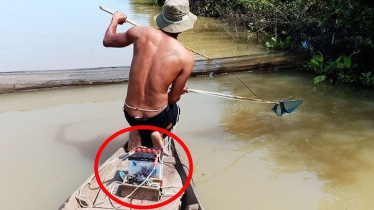 বিদ্যুৎ প্রবাহিত করে মাছ ধরা নিষিদ্ধ, না মানলেই ব্যবস্থা