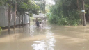 পাহাড়ি ঢলে এবার বন্যায় ডুবছে নেত্রকোনার পাঁচ উপজেলা