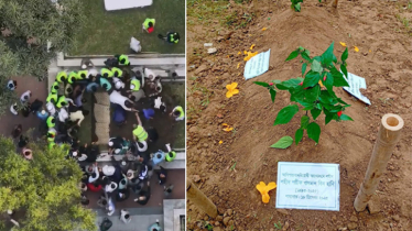 শহীদ ওসমান হাদির কবরে রোপণ করা হলো রক্তজবা গাছ