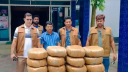 ইউপি মেম্বারের বসতঘরে পাওয়া গেল ৪০ কেজি গাঁজা
