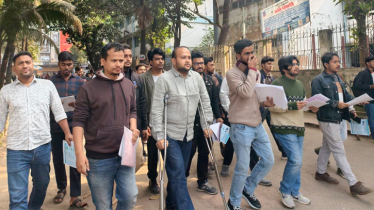 ক্রাচে ভর দিয়েই তারেক রহমানের দেশ গড়ার পরিকল্পনা তুলে ধরলেন হামিম