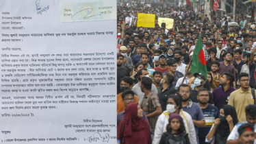 জুলাই অভ্যুত্থানে আহতের তালিকায় ভুয়া নাম, ব্যবস্থা নিতে আবেদন