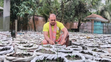 সাংবাদিকতা সামলে সফল উদ্যোক্তা নীলফামারীর জুয়েল আহমেদ