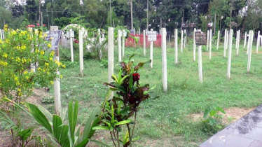 ফুলে ফুলে সুসজ্জিত টাঙ্গাইলের ৪শ’ বছরের কবরস্থান ফুলে ফুলে সুসজ্জিত টাঙ্গাইলের ৪শ’ বছরের কবরস্থান