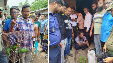 ক্রেতা সেজে টিয়া ছানা জব্দ, বিক্রেতার ২৫ হাজার টাকা অর্থদণ্ড