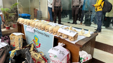 রোজার মধ্যে অভিযানে মিললো ৪৭টি মানুষের মাথার খুলি, হাড় ও কঙ্কাল