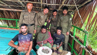 সুন্দরবনের খালে কীটনাশক দিয়ে মাছ ধরার সময় আটক ৫