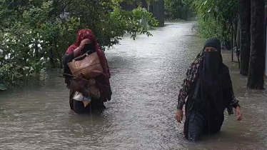টানা বৃষ্টি ও জোয়ারের পানিতে ডুবছে লক্ষ্মীপুরবাসীও