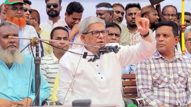 জনগণ সংকট বোঝে না, তারা শুধু ভোট দিতে চায়: মির্জা ফখরুল