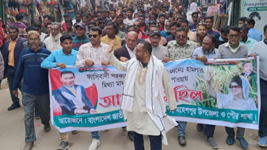 তারেক রহমানের খালাসের খবরে ঝিনাইদহে আনন্দ মিছিল