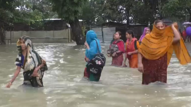 ময়মনসিংহের ২ উপজেলায় এখনো পানিবন্দি অর্ধলক্ষাধিক মানুষ
