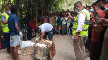 বাঁশঝাড়ে রহস্যময় কার্টুন, খুলতেই বেরিয়ে এলো নারীর লাশ