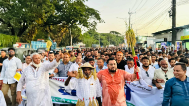 ৭ নভেম্বর বাংলাদেশের ইতিহাসের মাইলফলক: মীর হেলাল 