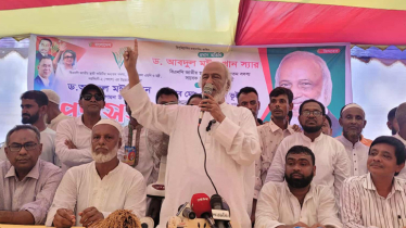 বন্ধু সেজে আ.লীগ হিন্দু সম্প্রদায়ের ক্ষতি করেছে: ড. মঈন খান